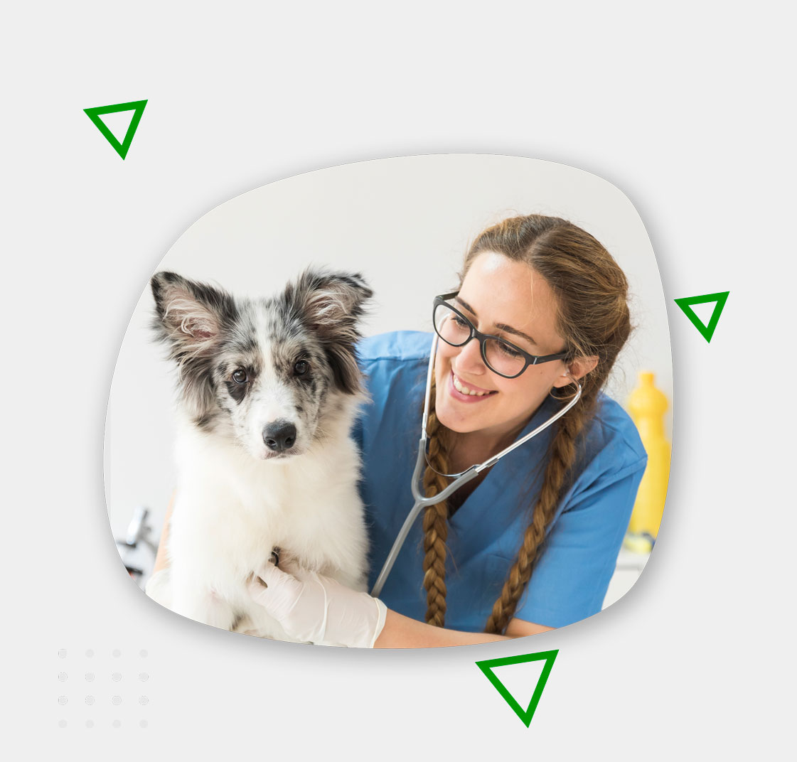 Programa Veterinario